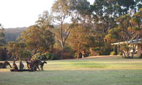 Book Walpole Accommodation Vacations Perisher Accommodation Perisher Accommodation