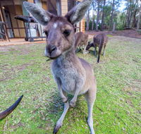 Yelverton Brook Eco Spa Retreat  Conservation Sanctuary - Perisher Accommodation