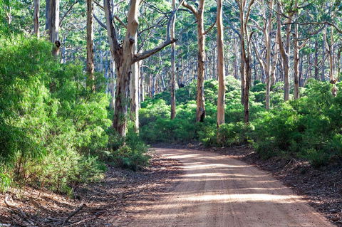 Margaret River Retreat - Perisher Accommodation 20