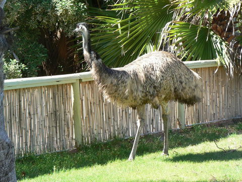 Wildsights Villas - Perisher Accommodation 29