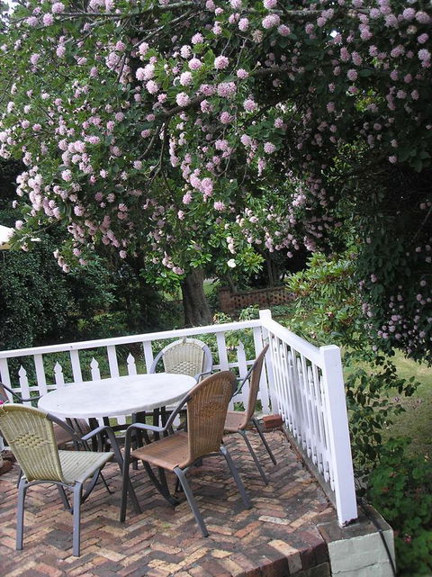 Anabel\'s Of Scottsdale - Perisher Accommodation 33