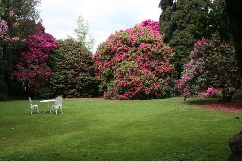 Anabel\'s Of Scottsdale - Perisher Accommodation 39