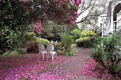 Anabel\'s Of Scottsdale - Perisher Accommodation 36