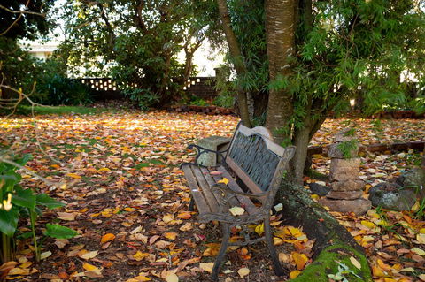 Anabel\'s Of Scottsdale - Perisher Accommodation 38