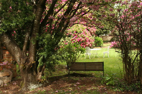 Anabel\'s Of Scottsdale - Perisher Accommodation 34