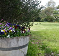 Padthaway Caravan Park - Perisher Accommodation