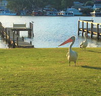 Riverfront Getaway - Mannum - Perisher Accommodation