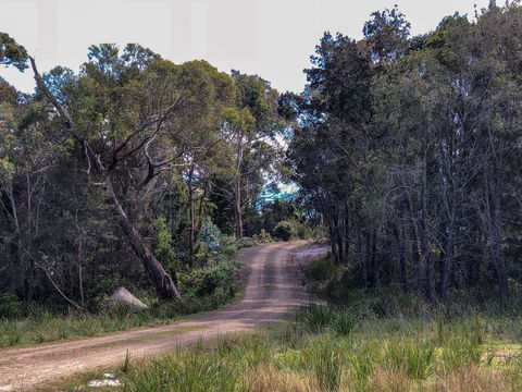 BAY OF FIRES ECO HUT Off Grid Experience At Binalong Bay - Perisher Accommodation 12