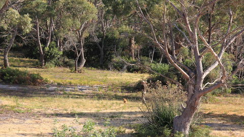 BAY OF FIRES SEACHANGE Ocean Frontage - Perisher Accommodation 12