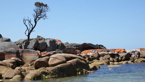 BAY OF FIRES SEACHANGE Ocean Frontage - Perisher Accommodation 21