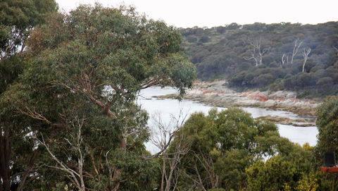 BAY OF FIRES SEACHANGE Ocean Frontage - Perisher Accommodation 15