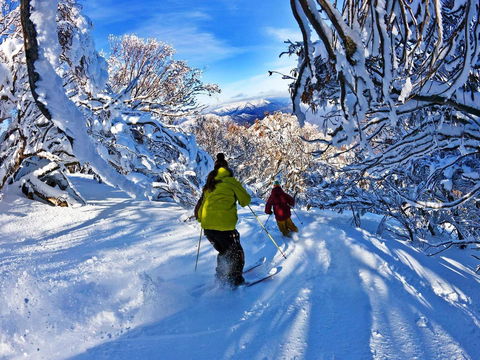 Buller Central Hotel - Perisher Accommodation 13