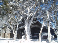 Book Dinner Plain Accommodation Vacations Perisher Accommodation Perisher Accommodation