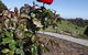 A Cottage With A View At Tudor Ridge - thumb 16