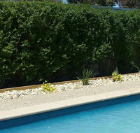 Robinvale Bridge Motel - Perisher Accommodation