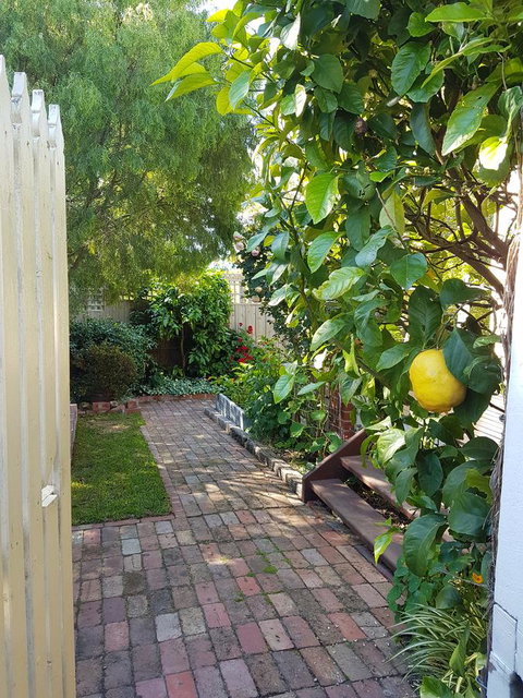 Healesville House - Fig Tree House - Perisher Accommodation 17