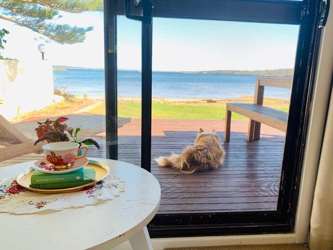 Vandy's Shack At Mount Dutton Bay - Ideal For Couples And Small Families - Perisher Accommodation 3