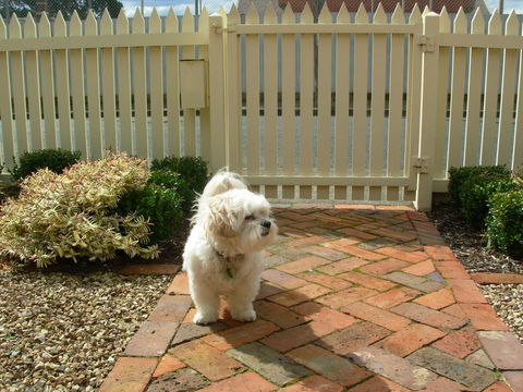 Sabina On Little Myers - Perisher Accommodation 24