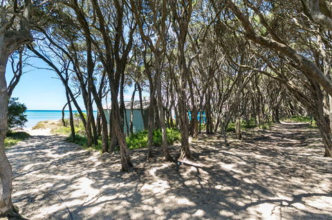 Perfect Blairgowrie Beach House - Perisher Accommodation 17