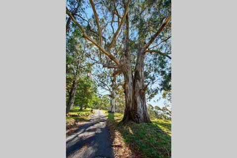 WOOLWAY - Perisher Accommodation 1
