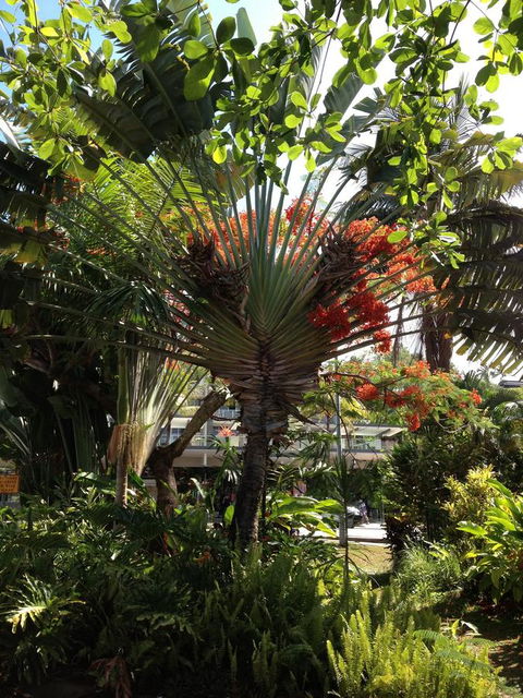 Port Douglas Apartments - Adults Only Oasis - Perisher Accommodation 39