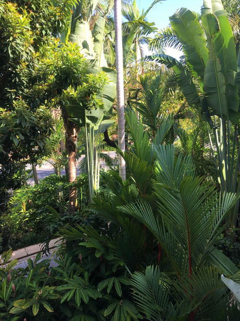 Port Douglas Apartments - Adults Only Oasis - Perisher Accommodation 1