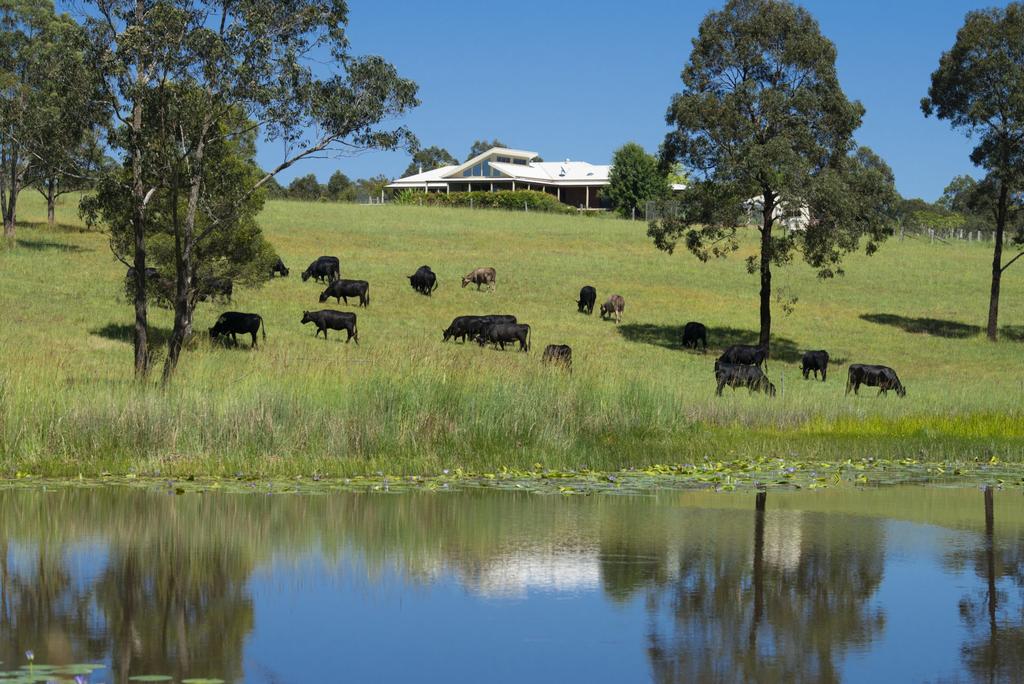 Wang Wauk NSW Perisher Accommodation