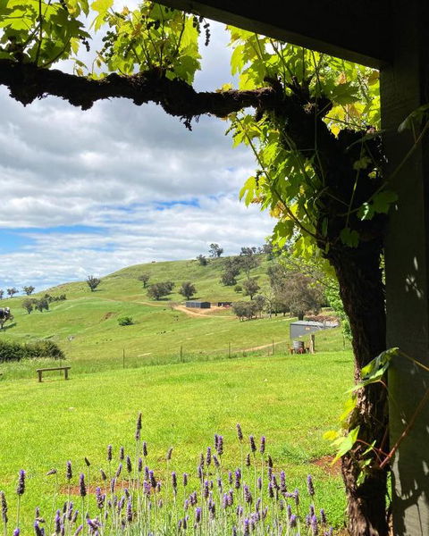 Elevation652 At Mt Bellevue In King Valley - Perisher Accommodation 2