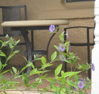 Amalie Cottage Waikerie - Perisher Accommodation