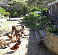 Anchorage Apartments - Perisher Accommodation