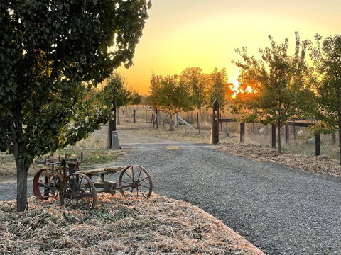 Maple Lane Farm Stay - Perisher Accommodation 0