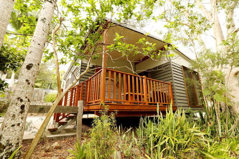 Mt Warning Rainforest Park - Perisher Accommodation 1