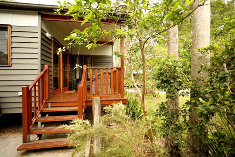 Mt Warning Rainforest Park - Perisher Accommodation 0