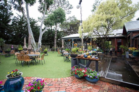 Oakdene Vineyards Guesthouse - Perisher Accommodation 1
