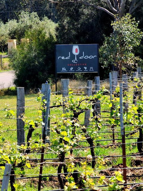 Red Door Collective - RDC Vineyard Estate, Luxury Adult Only Stay - Perisher Accommodation 1