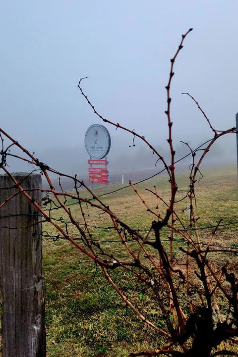 Red Door Collective - RDC Vineyard Estate, Luxury Adult Only Stay - Perisher Accommodation 3