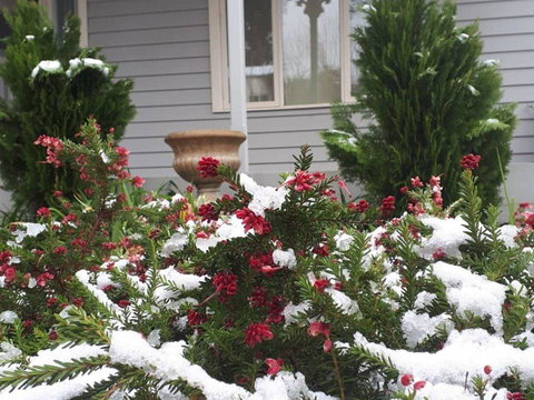 Barton Mill At Marysville - Perisher Accommodation 1