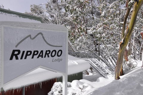 Ripparoo Lodge - Perisher Accommodation 0