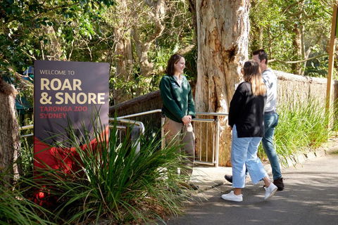Roar And Snore - Perisher Accommodation 1