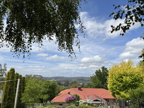 Studio At The Back Of Mount Taylor - Perisher Accommodation 1