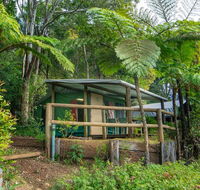 Binna Burra Rainforest Campsite - Perisher Accommodation