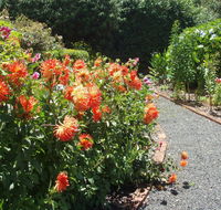 Boat Harbour Garden Cottages - Perisher Accommodation