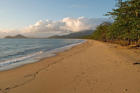 Cairns Reef And Rainforest Combo: Daintree Rainforest And The Great Barrier Reef - Perisher Accommodation 4