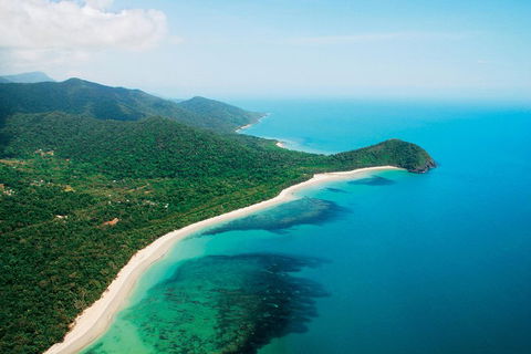 Cape Tribulation, Mossman Gorge, And Daintree Rainforest Premium Day Tour - Perisher Accommodation 2