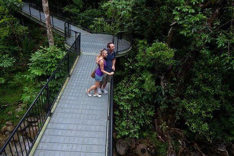 Cape Tribulation, Mossman Gorge, And Daintree Rainforest Premium Day Tour - Perisher Accommodation 3