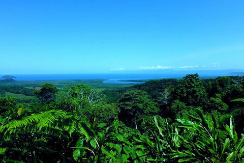 Cape Tribulation, Mossman Gorge, And Daintree Rainforest Premium Day Tour - Perisher Accommodation 5