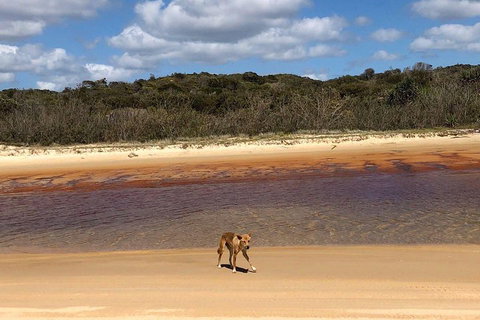Pippies 3 Days 2 Nights Fraser Island Tour - Perisher Accommodation 2