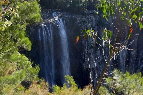 Byron Bay Hinterland Tour Including Rainforest Walk To Minyon Falls - Perisher Accommodation 0