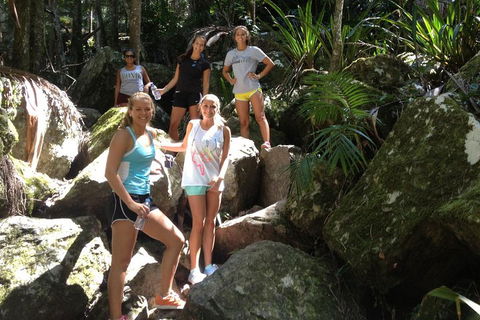 Byron Bay Hinterland Tour Including Rainforest Walk To Minyon Falls - Perisher Accommodation 3