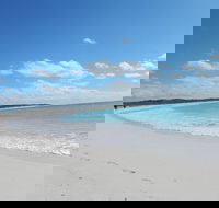 Shipwreck Special Nature Tour/Half Day Tour - Perisher Accommodation